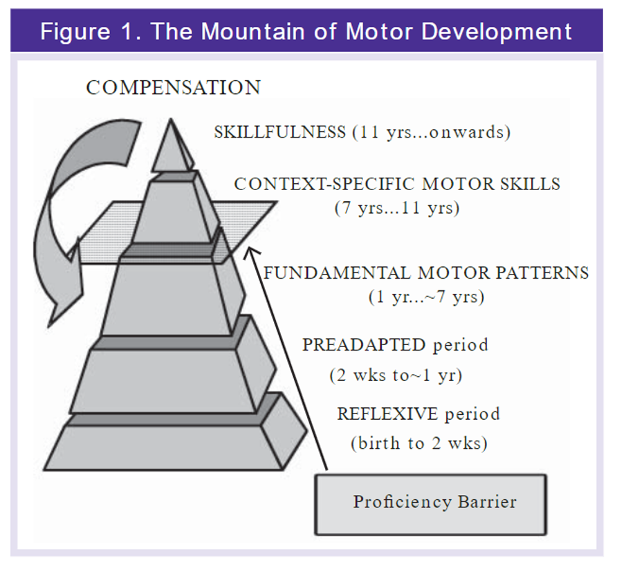 1) reflexive

2) preadapted

3) fundamental motor patterns

Proficiency barrier

4) context-specific

5) skillful

6) compensation