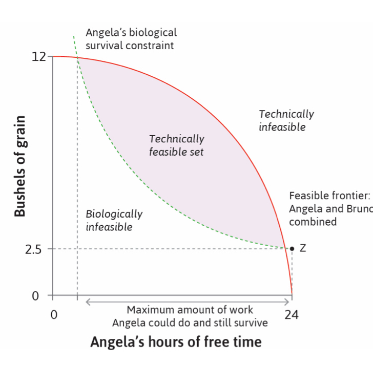 <p>All the biologically feasible outcomes (limited by survival)</p>