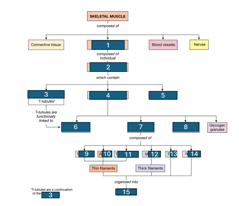 <p>fill in the blanks</p>