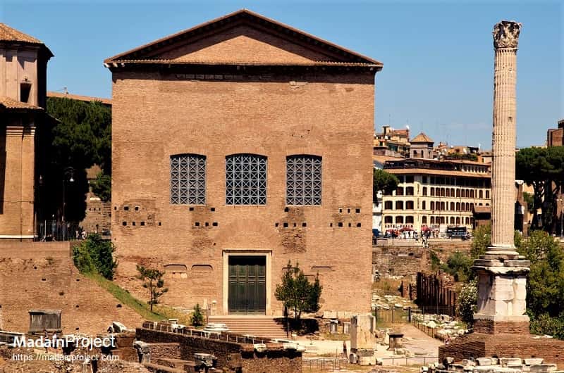 <p>Curia</p>