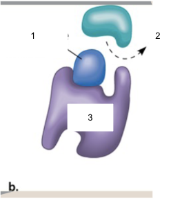 <p>Name parts 1, 2, 3</p>