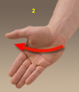 <p>What movement is this?</p>