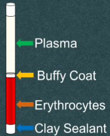 <p>What is this?</p>