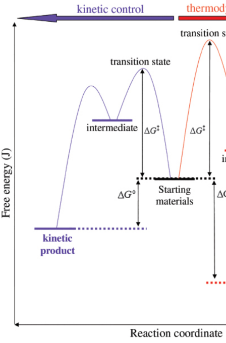 <p>products at lower temperatures; form faster than the thermodynamic products</p>