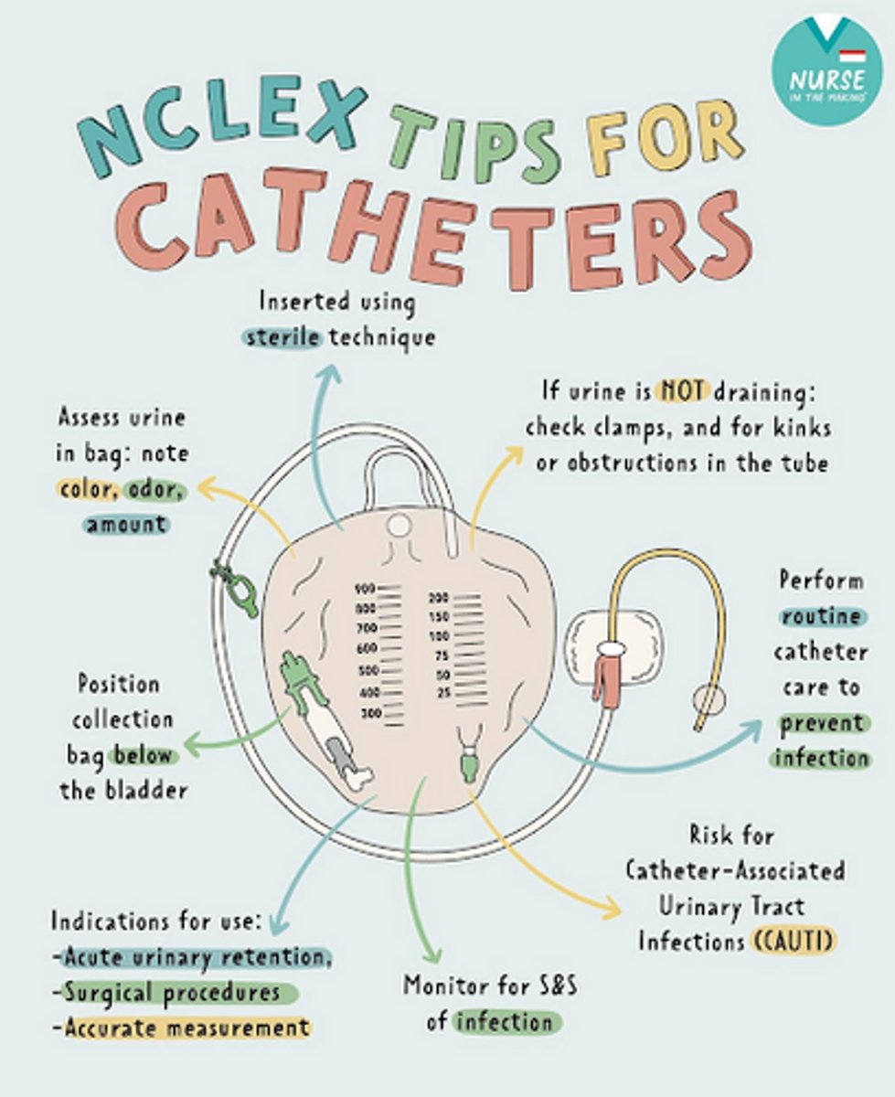 <p>Encourage fluids, Maintain proper hygiene, Prevent fecal contamination, Maintain sterility, clean every shift, Make sure there is no tension, obstruction, or clogs in the catheter, Keep collection container BELOW level of bladder</p>