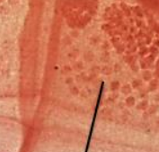 <p>What is this arrow pointing to?</p>