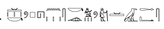 term image