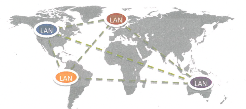 <p>LANs connected together over a broad geographical area.</p>