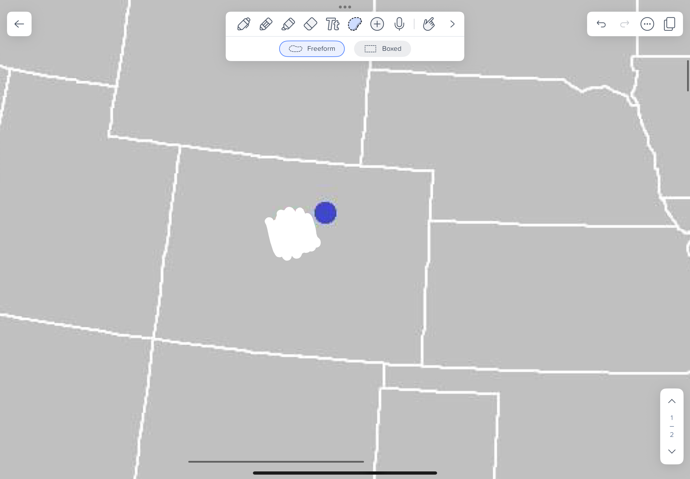 term image