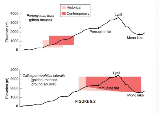 <p>Describe basic patterns of species range shift and how it may differ between some species:</p>