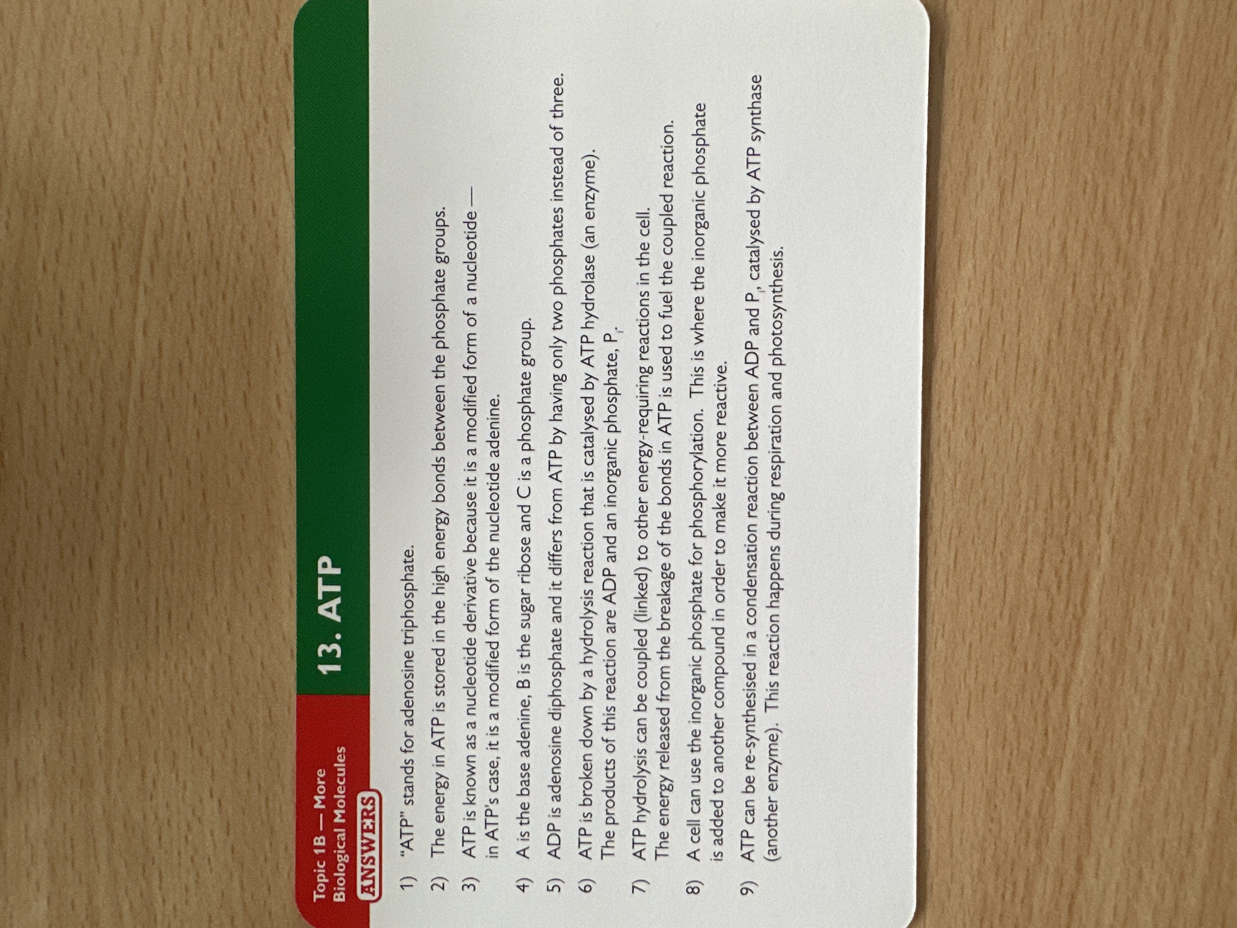 knowt flashcard image