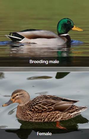<p></p>