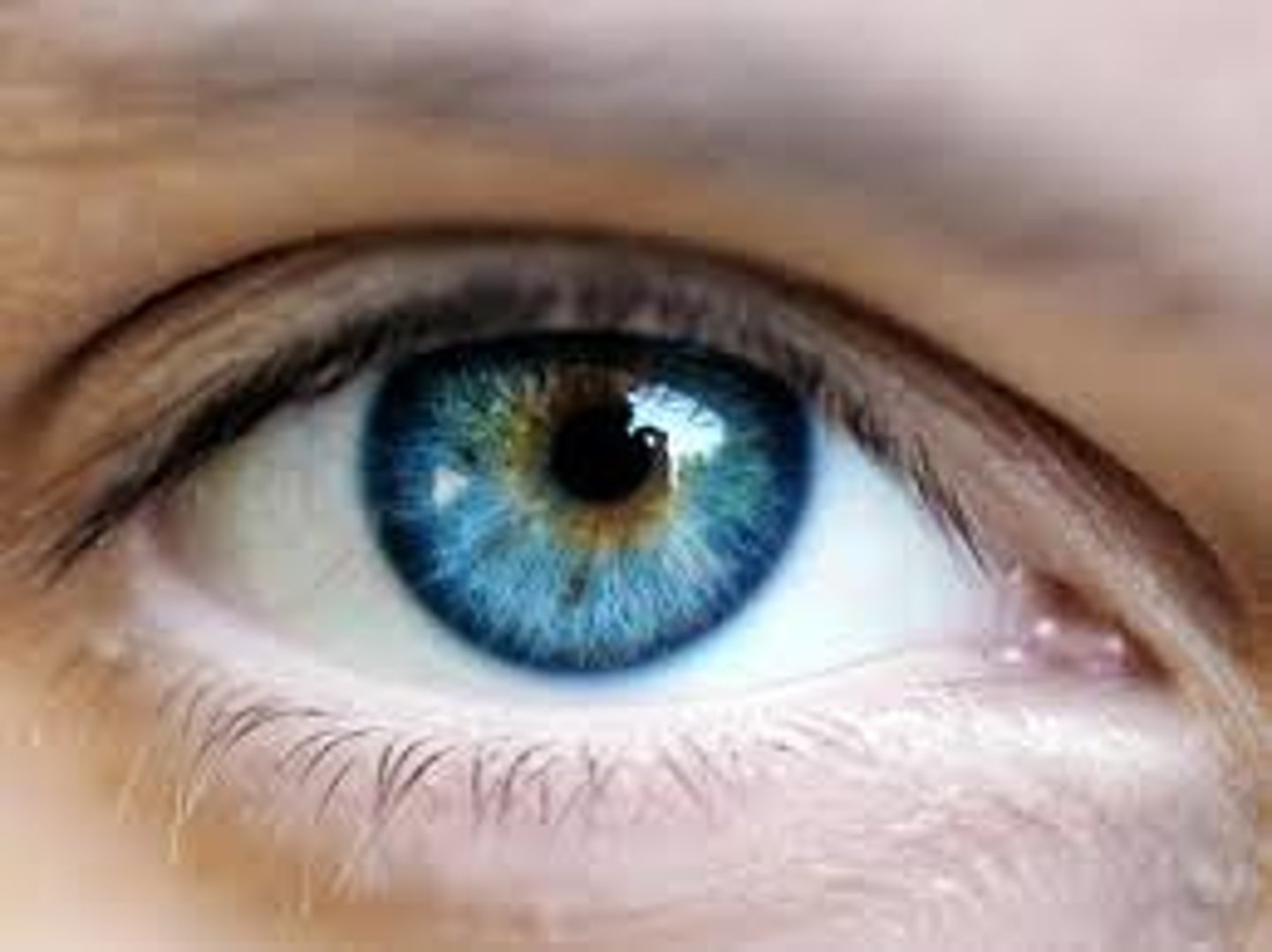<p>eye</p>