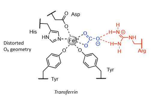 <p>Low pH release mechanism</p>