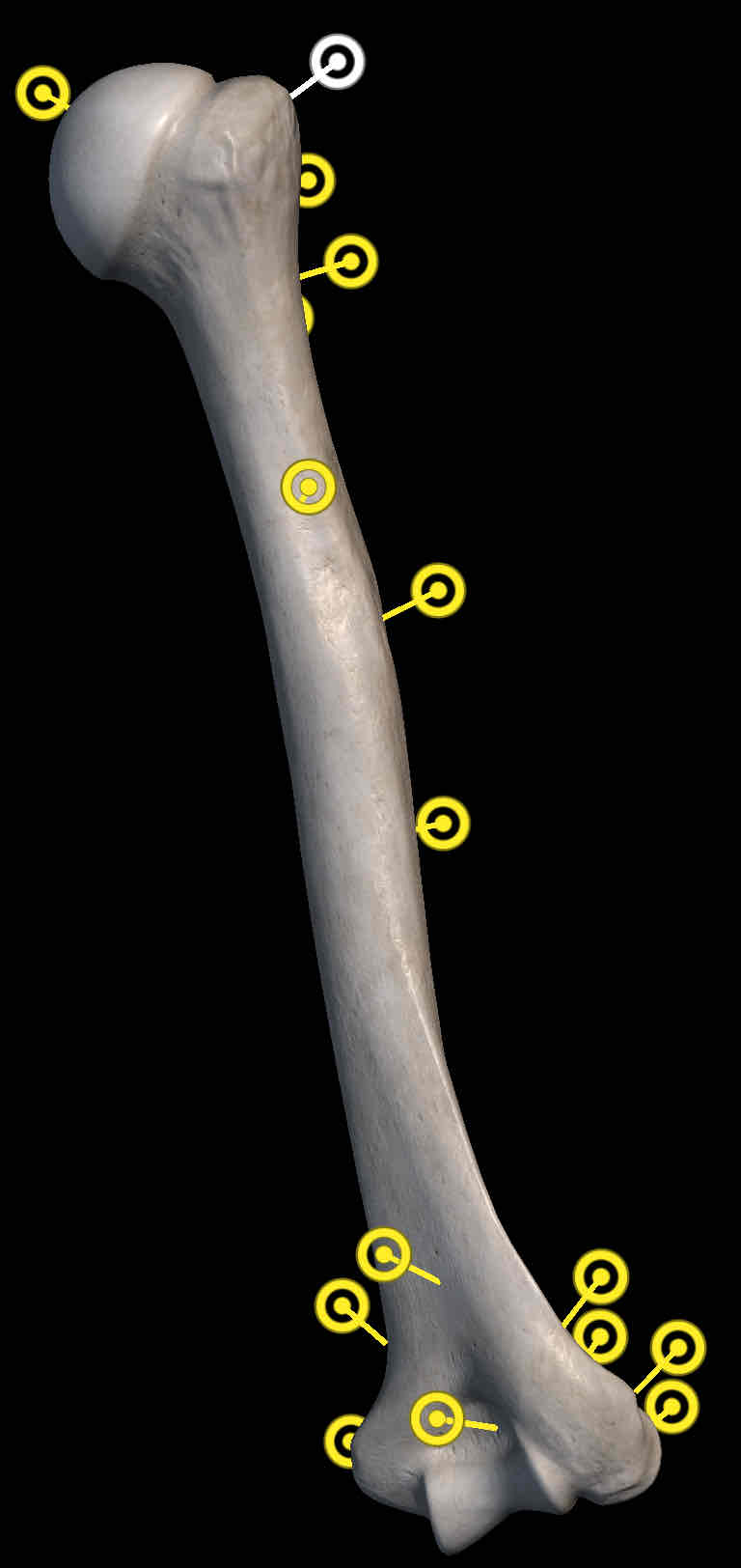 <p>Name the structure</p>