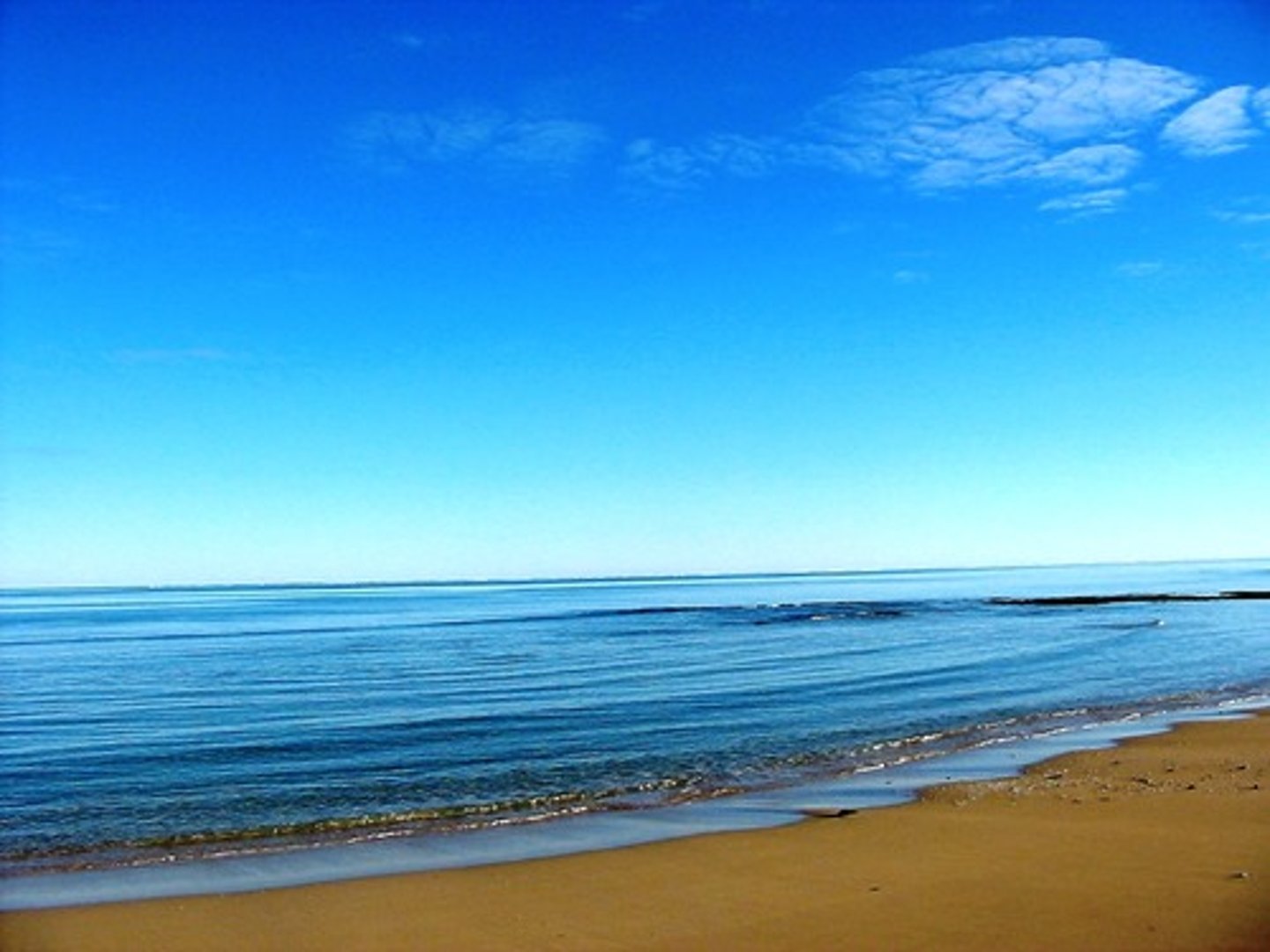 <p>process in the water cycle where streams and rivers carry water back to the oceans</p>