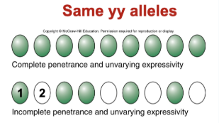 <p><span>the percentage of individuals with a particular genotype that show the expected phenotype</span></p><p></p>