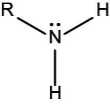 <p>-NH2</p><ul><li><p>prefix: Amino-</p></li><li><p>suffix: -amine</p></li></ul><p></p>