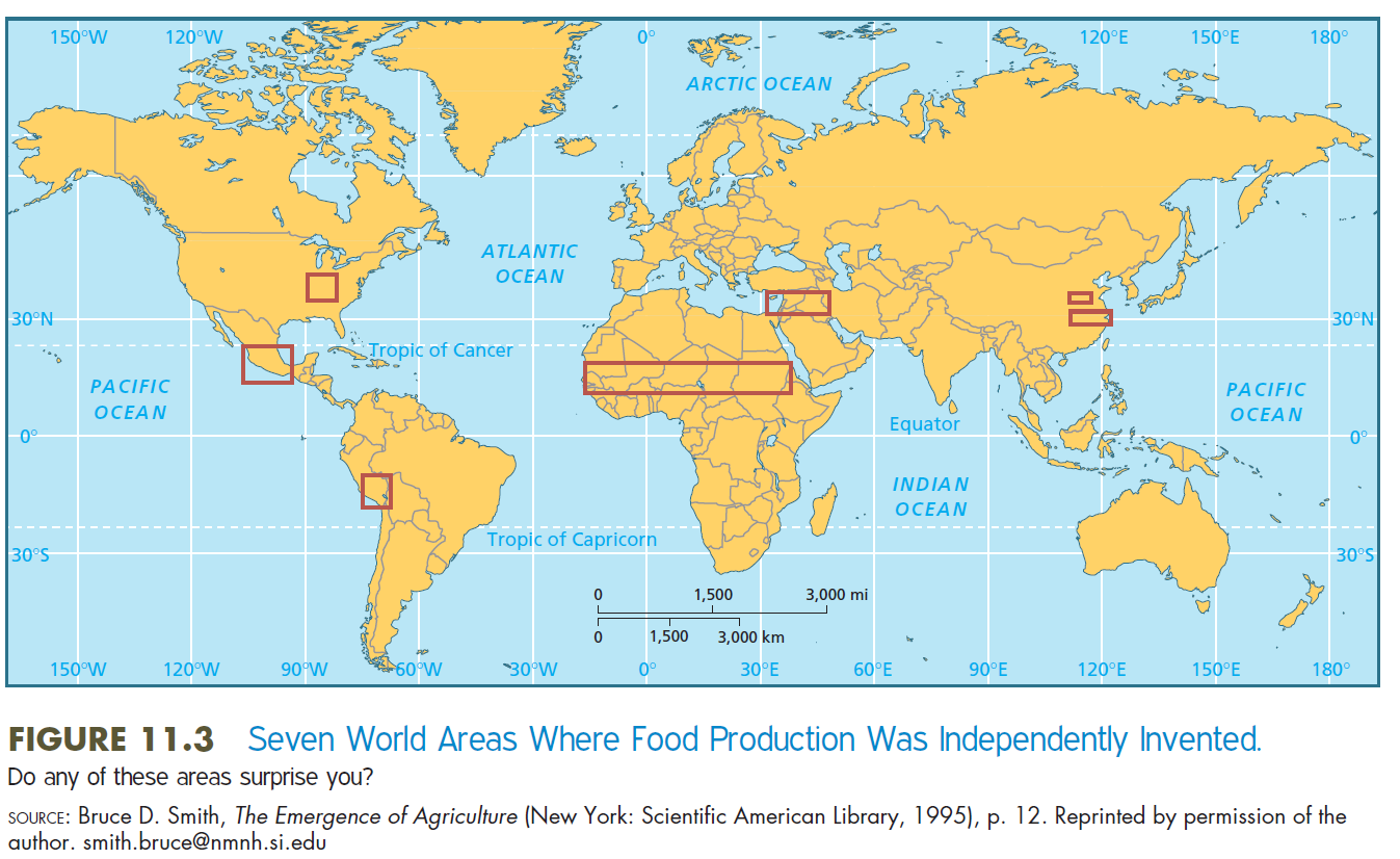 <p>Differences between the Old World and the New World</p><p>The Old World: </p><ul><li><p>Both farming and herding thrived.</p></li><li><p>A mutually supportive relationship between farming and herding. (the crops could feed the animals, animal menure can be used as fertilizer)</p></li><li><p>The invention of wheels as a transportation tool (now animals can pull wheeled vehicles)</p></li></ul><p></p>