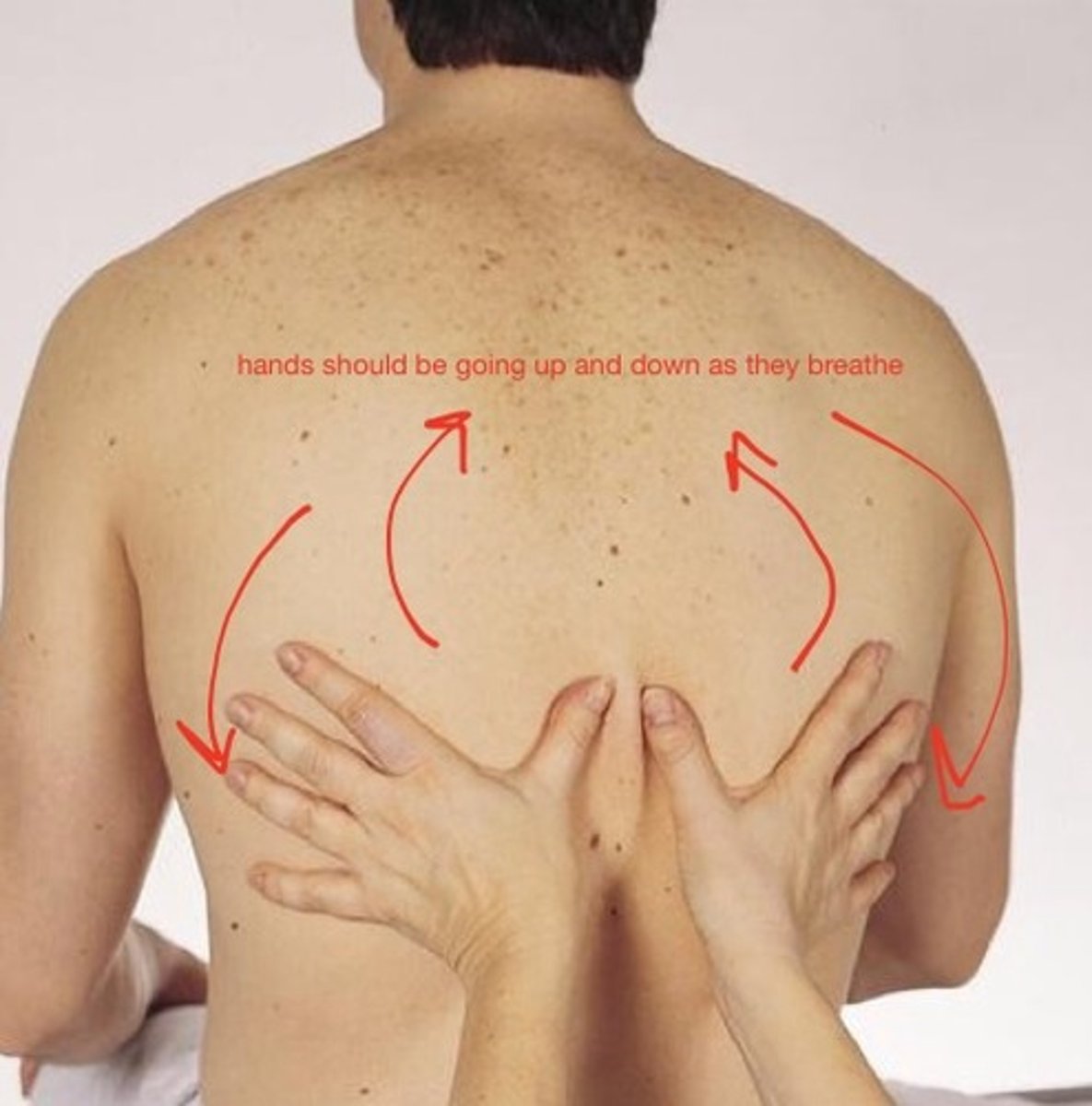 <p>1. place hands on posterior chest wall at T9 or T10 with thumbs along costal margins and pointing inward <br>2. ask patient to take a deep breath<br>3. watch thumbs move apart symmetrically and note smooth expansion</p>