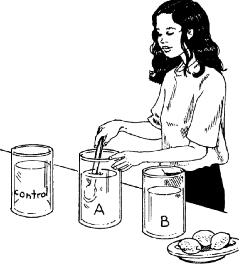 <p>set of <em>organized steps</em> followed under controlled conditions to test a <mark data-color="green">theory or hypothesis.</mark></p>