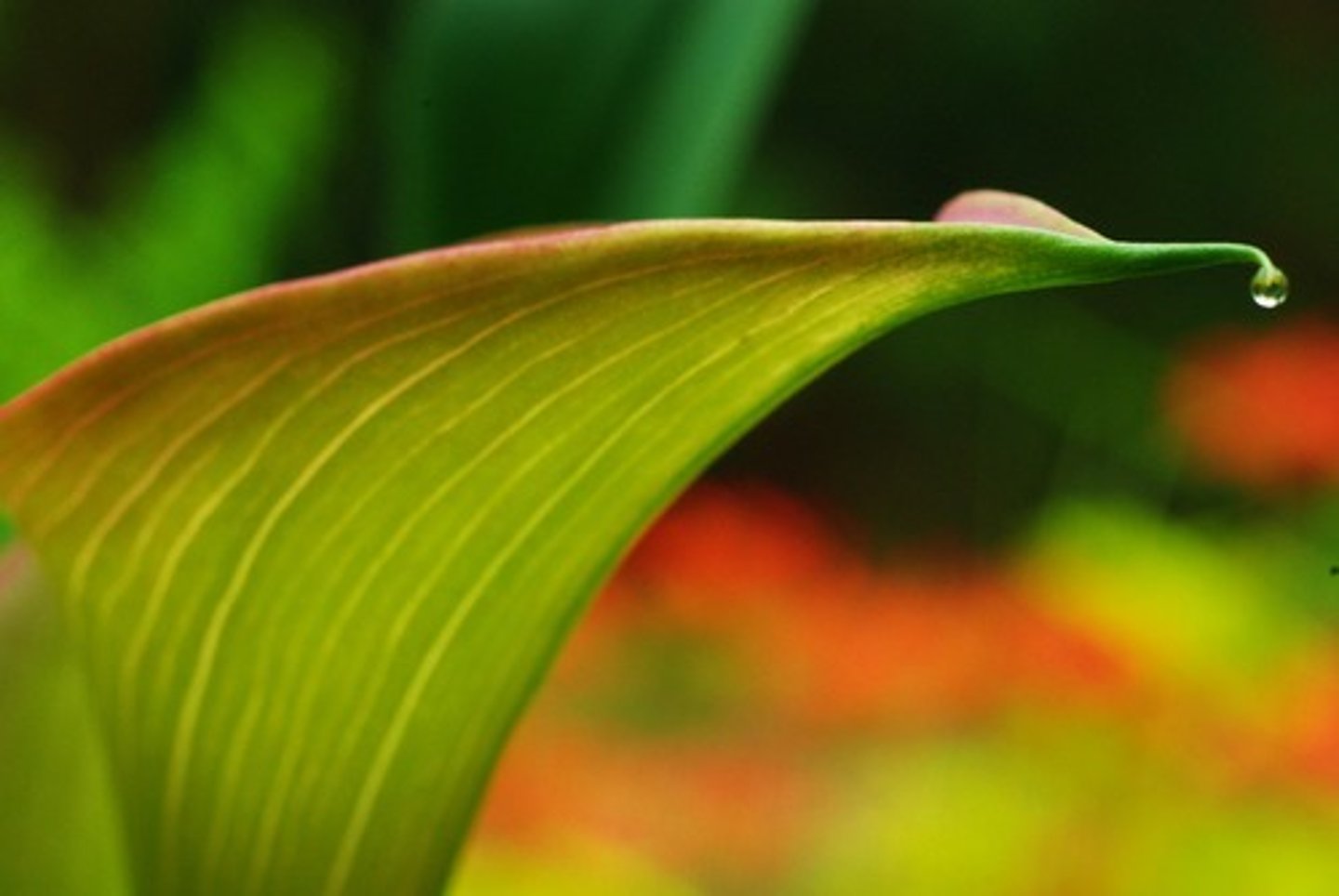 <p>very small and therefore unable to be seen or felt</p><p>imperceptible changes in temperature</p>