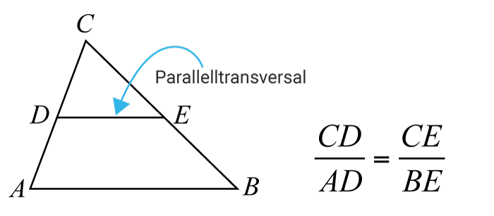 <p>En transversal som är parallell med en sida delar övriga sidor i lika förhållanden</p>