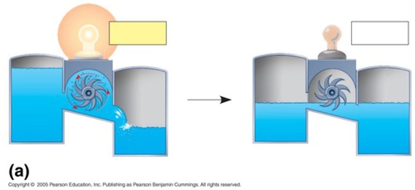 <p>Using the flow of water to drive a turbine that lights a bulb is an example of coupling energy transformations.</p>