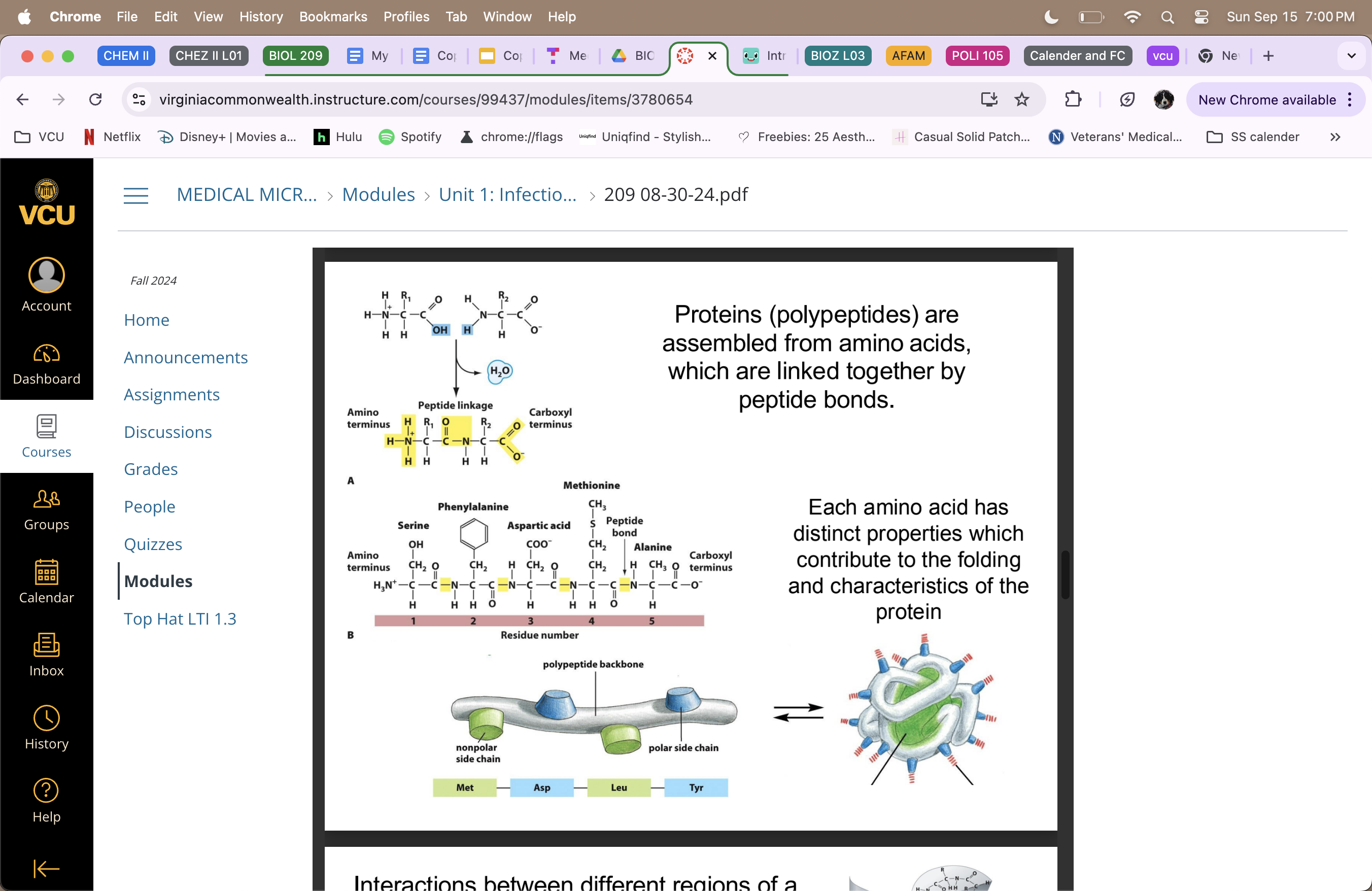 <p>Microbial Structures of Biomacromolecules</p><p>Proteins </p>