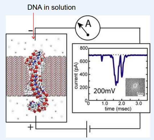 <ul><li><p>drops means that there is a block in channel</p></li><li><p>in ionic solution</p></li><li><p>the tube is a nanopore</p></li></ul><p></p>