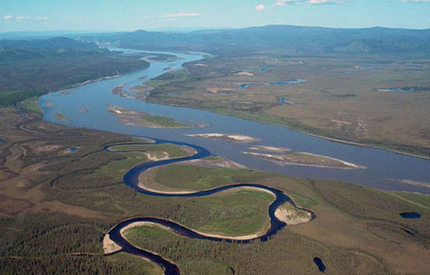 <p>Small streams, rivers, or creeks that flow into a big river</p>