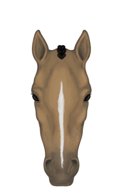 <p><span style="background-color: transparent;">Thin white stripe down face</span></p>