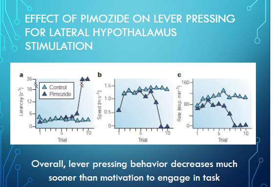 <p>pimozide does not immediately impact latency or speed to begin approach the lever, they are initially engaged then over the days lose motivaiton to approach</p><p></p><p>but pimozide immdeiately impacts rate of lever pressing &gt; animal decides lever pressing is not leading to reward quickly by trial 4. overall, lever pressing behavior decreases alot sooner than motivation to engage in task</p><p></p><p>lever acquires value but pimozide leads to lever being devalued and animal stops engaging</p>