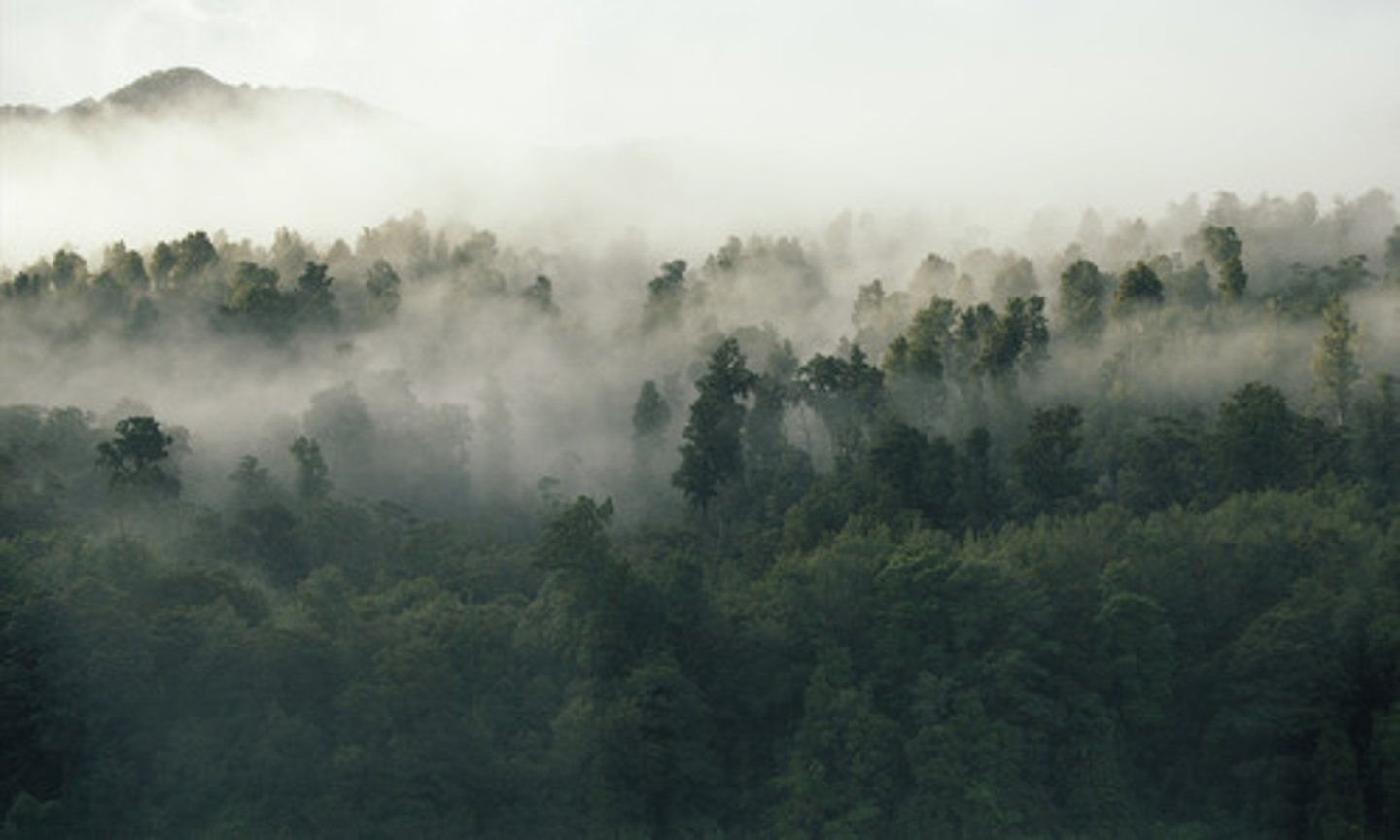 <p>a light fog that makes it hard to see clearly</p>