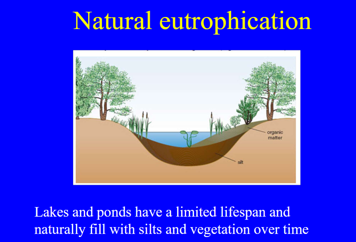 <p>The biological effects of an increase in the concentrations of nutrient</p><p>Caused by the availability of nitrogen and phosphorus, commonly present in soil and water in the form of nitrate and phosphate.</p><p>It leads to slight to moderate pollution and failure to meet the goals of the WFD</p>