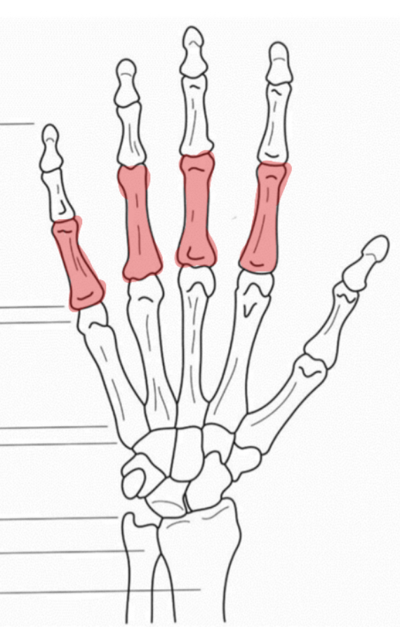 <p>Wat is hier aangeduid</p>