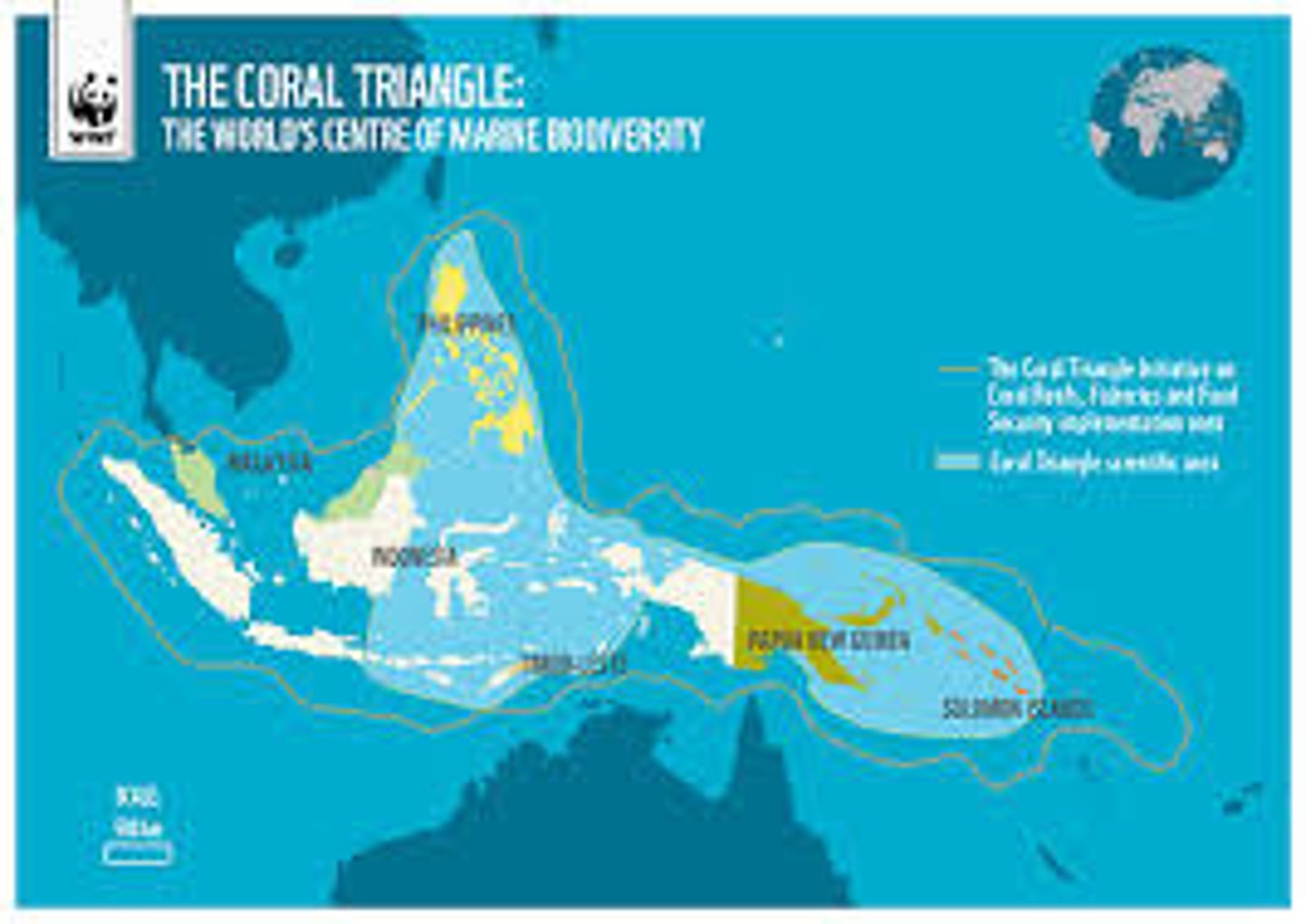 <p>biodiversity hotspot (especially for zooxanthellae)</p>