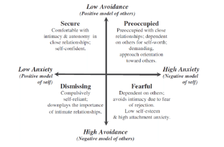 <p></p><ul><li><p>These two proposed a model centred around 2 main factors. Those being anxiety and avoidance. Stemming from these were 4 attachment styles that each adult fits into. These are</p></li></ul>