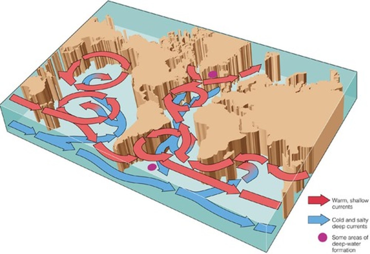 <p>Ekman transport creates large, basin-scale ocean gyres through the convergence of water driven by trade winds and westerlies.</p>