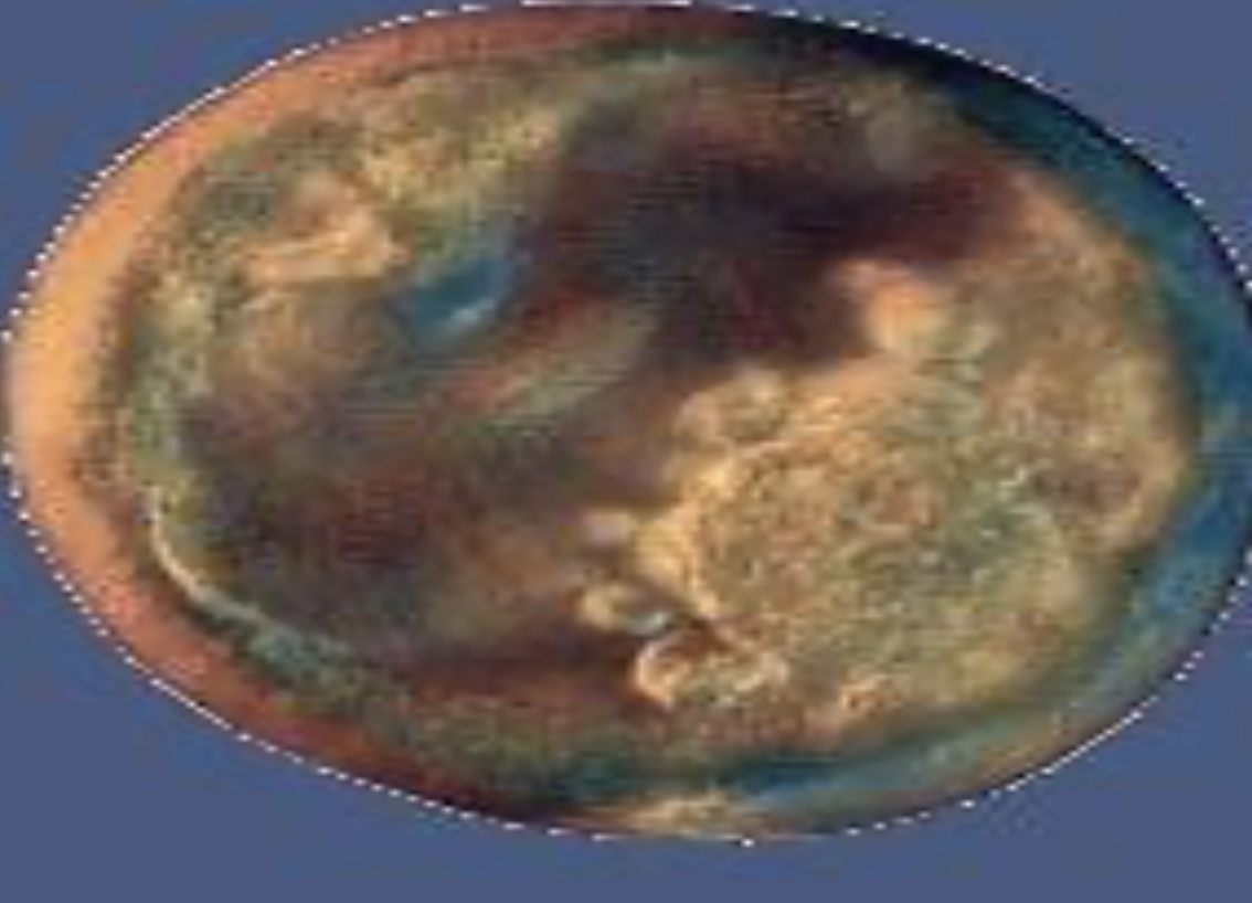 <p>Blastocele</p>