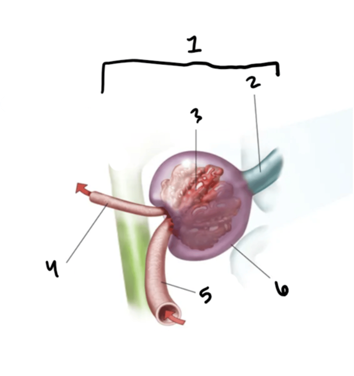 <p>What is structure 2?</p>