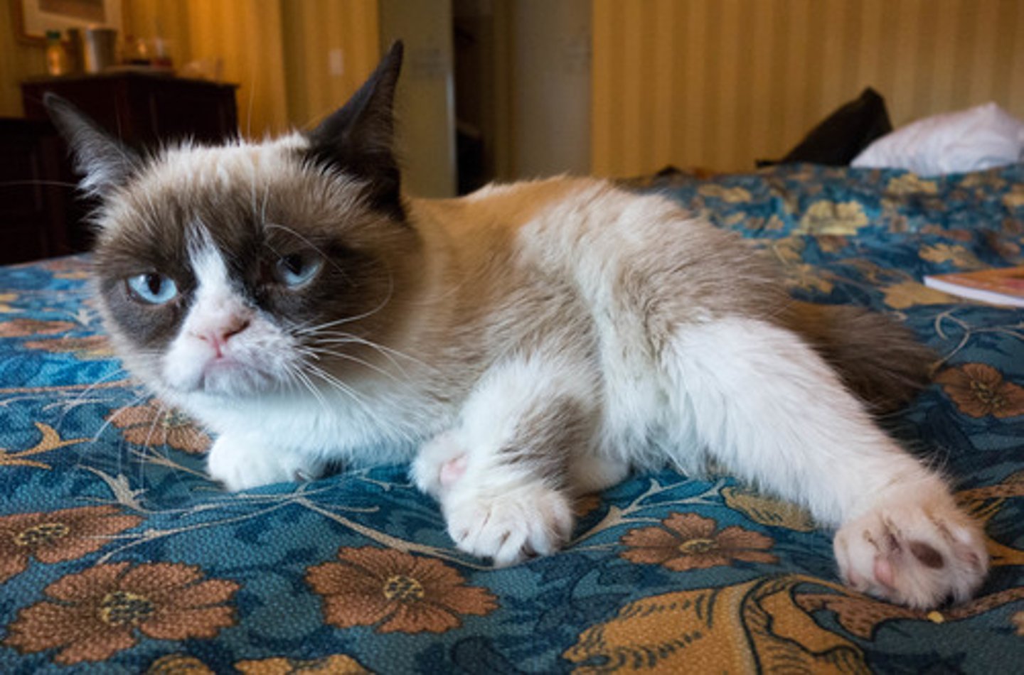 <p>in a bad mood (Example: when you don't have enough sleep)</p>