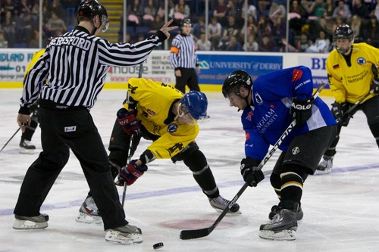 <p>to play ice hockey</p>