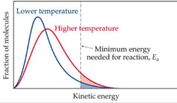 <ul><li><p>increase in number of molecules with activation energy</p></li><li><p>More frequency of collisions</p></li><li><p>More successful collisions</p><ul><li><p>increase in most probable energy</p></li></ul></li></ul>