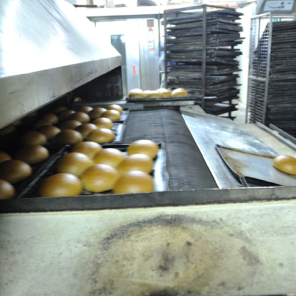 <p>the amount of something produced by a person, machine, or industry</p>