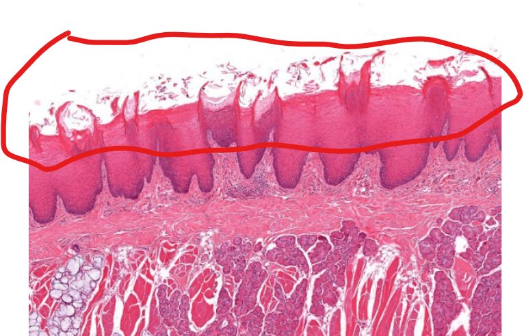 <p>structure</p>