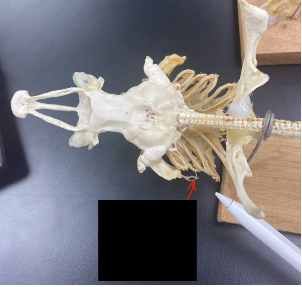 <p>What part is this</p>