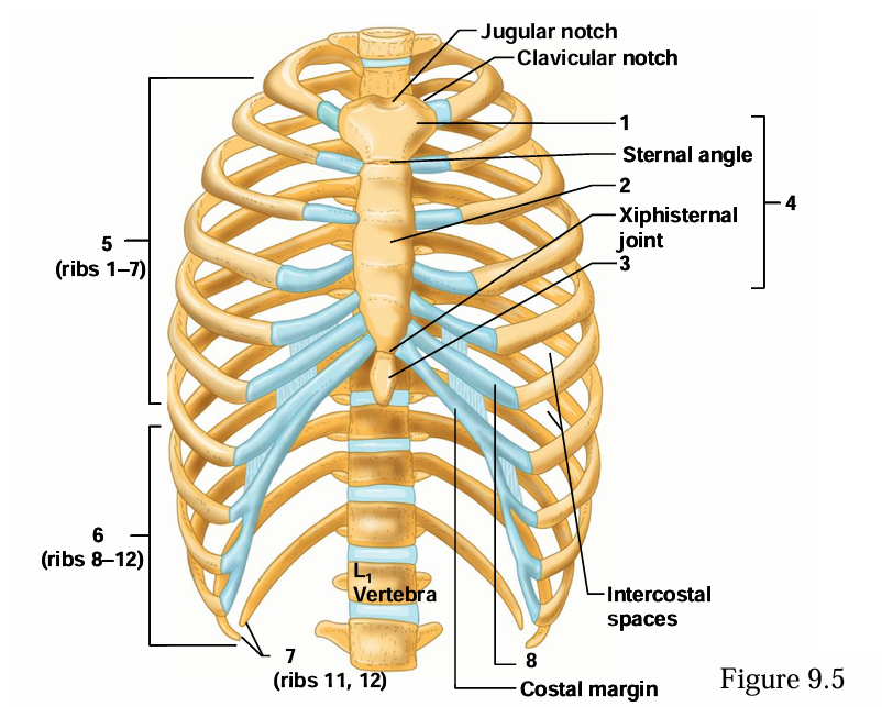 <p>What is #5 in the diagram?</p>