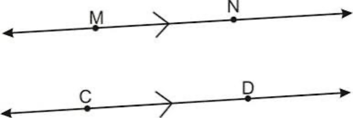 <p>The lines that <strong><em>never </em></strong>intersect/cross</p><p>MN <strong>$$∥$$ </strong>CD</p>