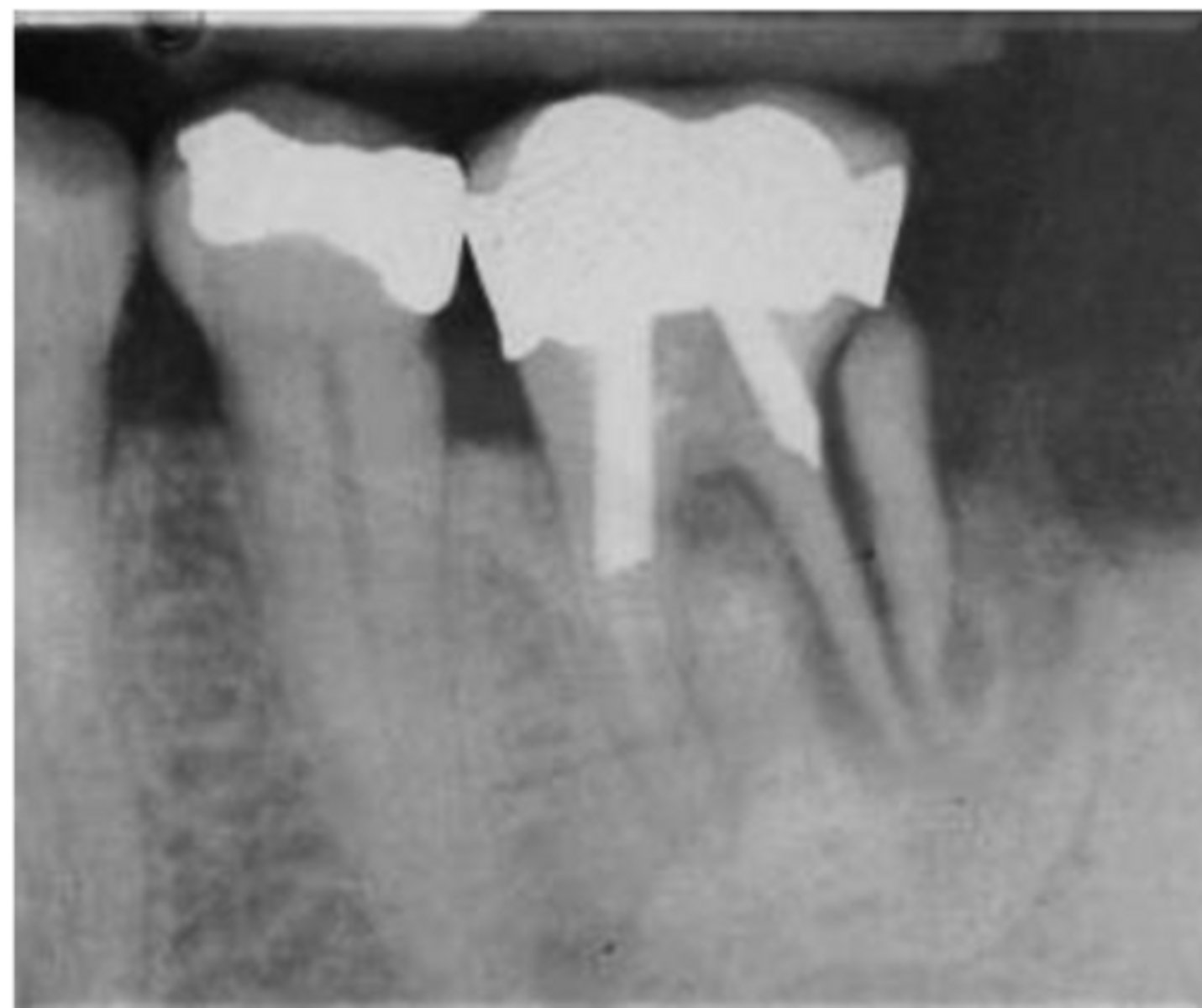 <p>ID the problem:</p>